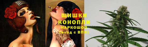 mdpv Няндома